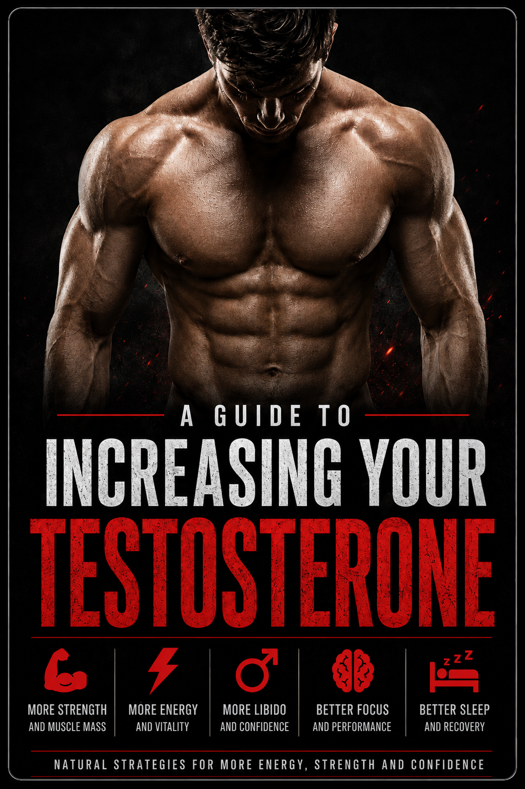 Guide to Increasing Testosterone Levels